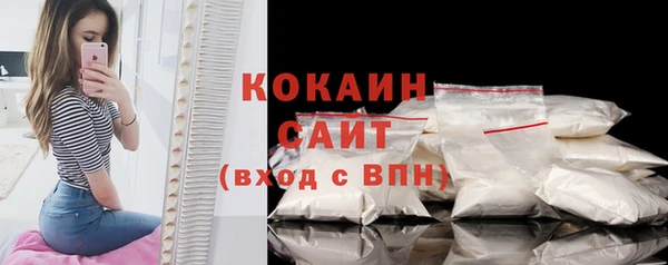 мяу мяу мука Белокуриха