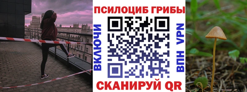 Галлюциногенные грибы Cubensis  Купить где  Теберда 